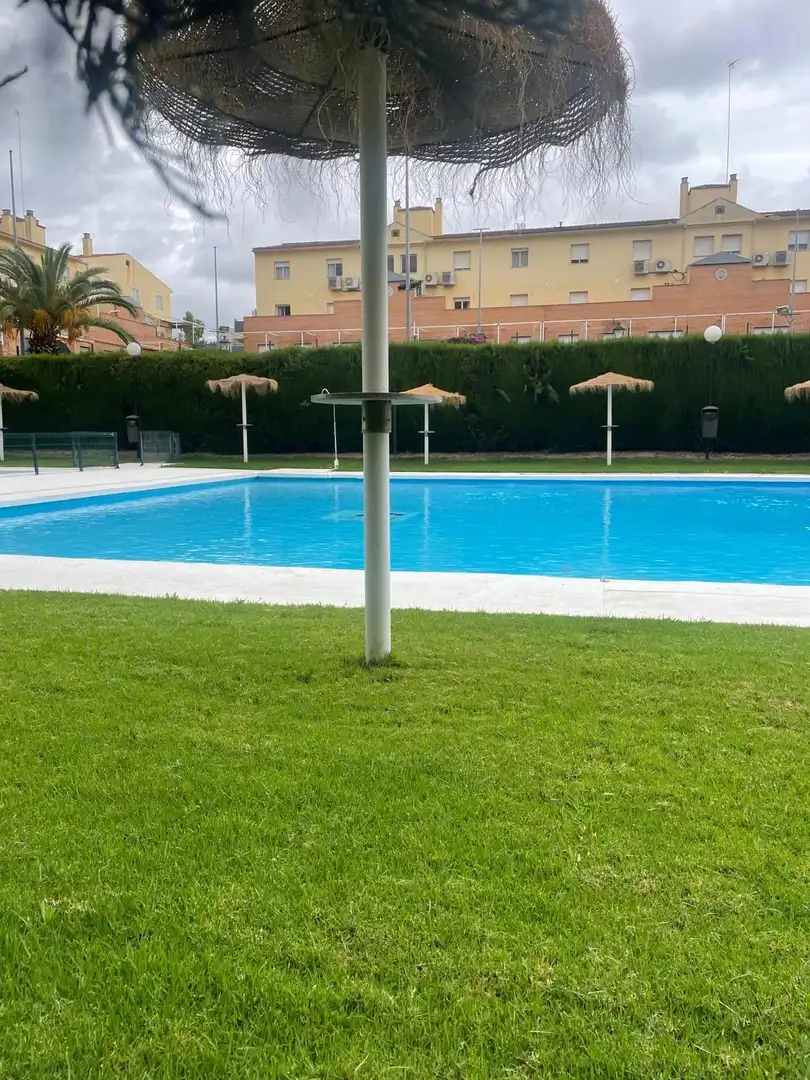 Piscina de Pis de lloguer en Sevilla amb Aire condicionat, Calefacció i Terrassa