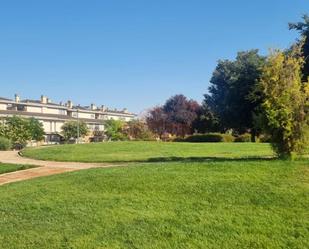 Jardí de Local de lloguer en  Albacete Capital