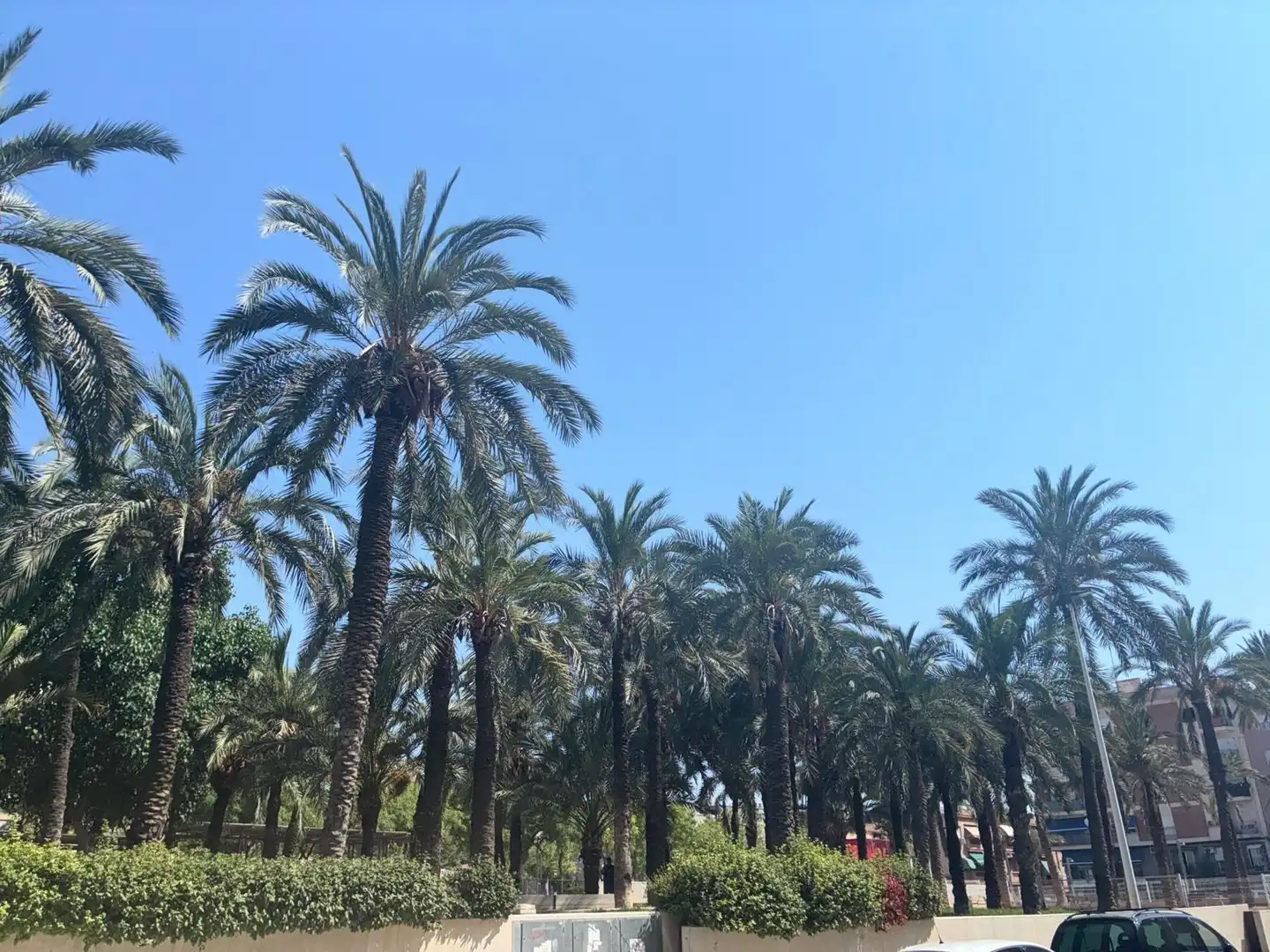 Vista exterior de Pis en venda en Elche / Elx amb Alarma
