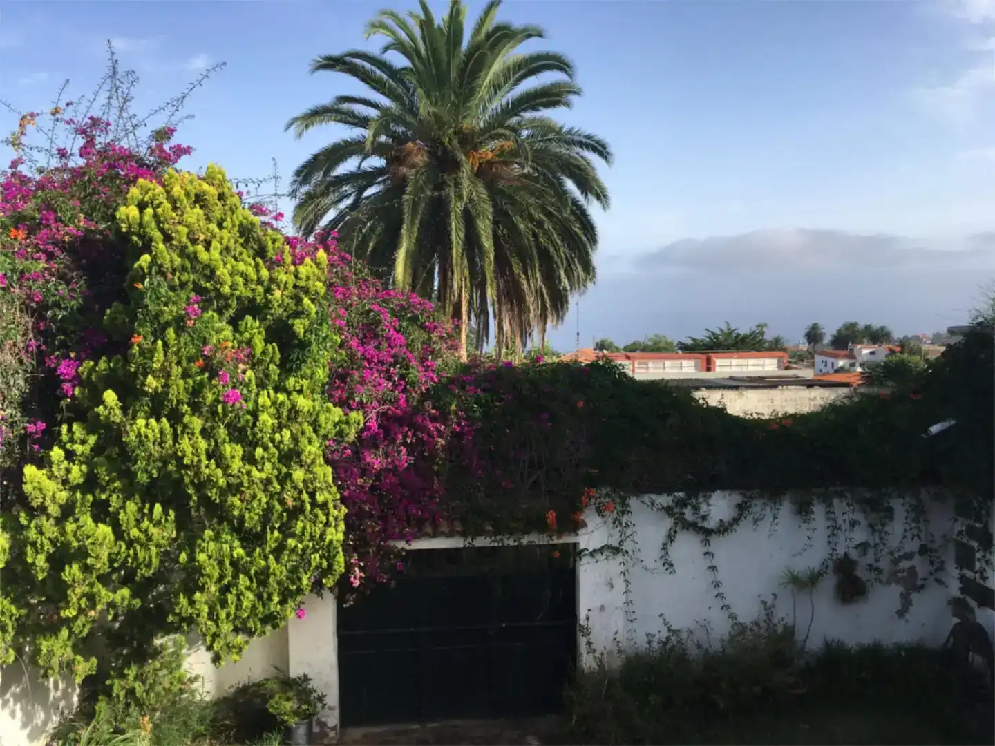 Exterior view of Houses for sale in Tacoronte - Los Naranjeros