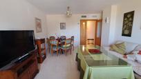 Dining room of Flat to rent in Málaga Capital  with Air Conditioner, Terrace and Furnished