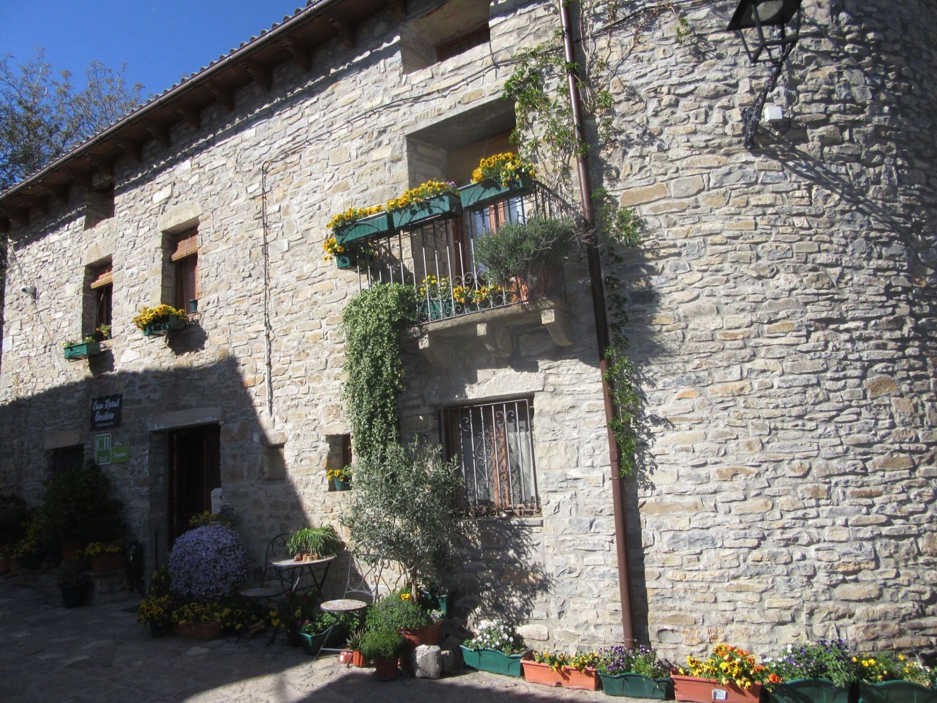 Exterior view of House or chalet for sale in Sabiñánigo  with Private garden