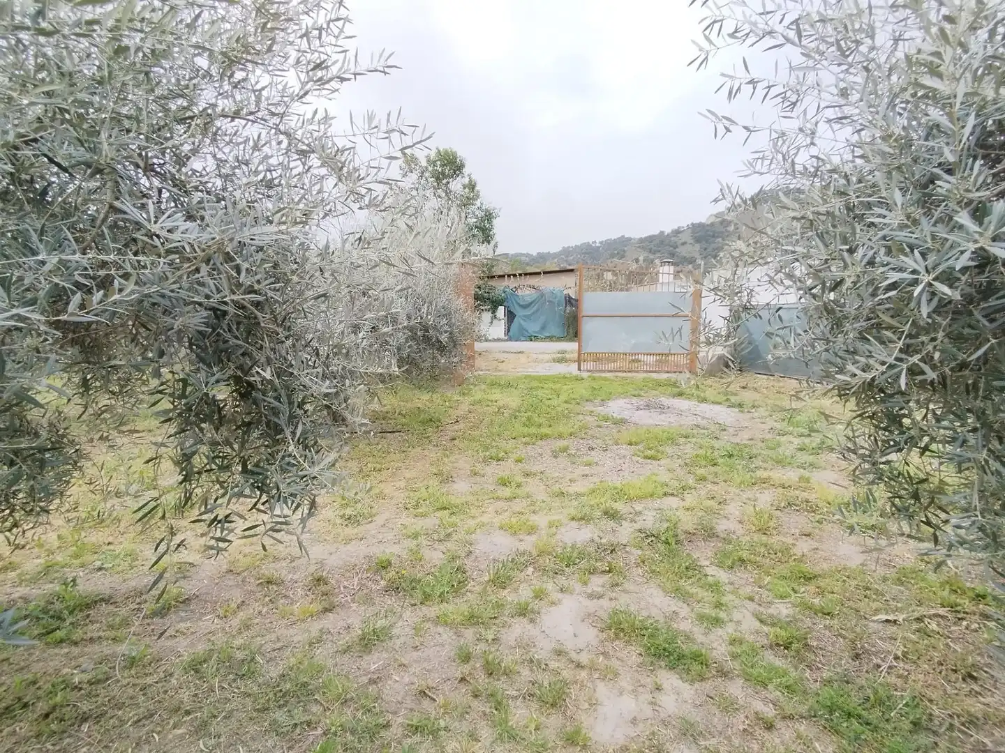 Terreni e lotti in vendita a Carretera Cenes de la Vega, imagen 8