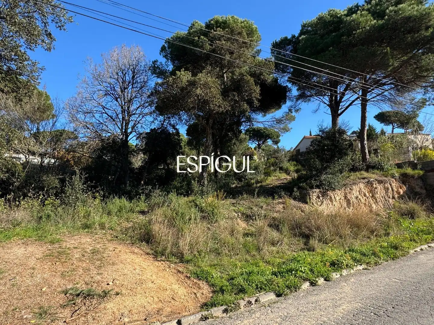 Terreno rústico en venta en Arboç, imagen 3
