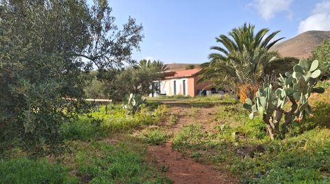 Photo 4 of Land for sale in Calle la Majadilla, Päjara pueblo, Pájara