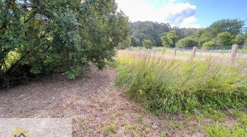 FINCA EN VENTA EN AREA DE BON, immagine 3