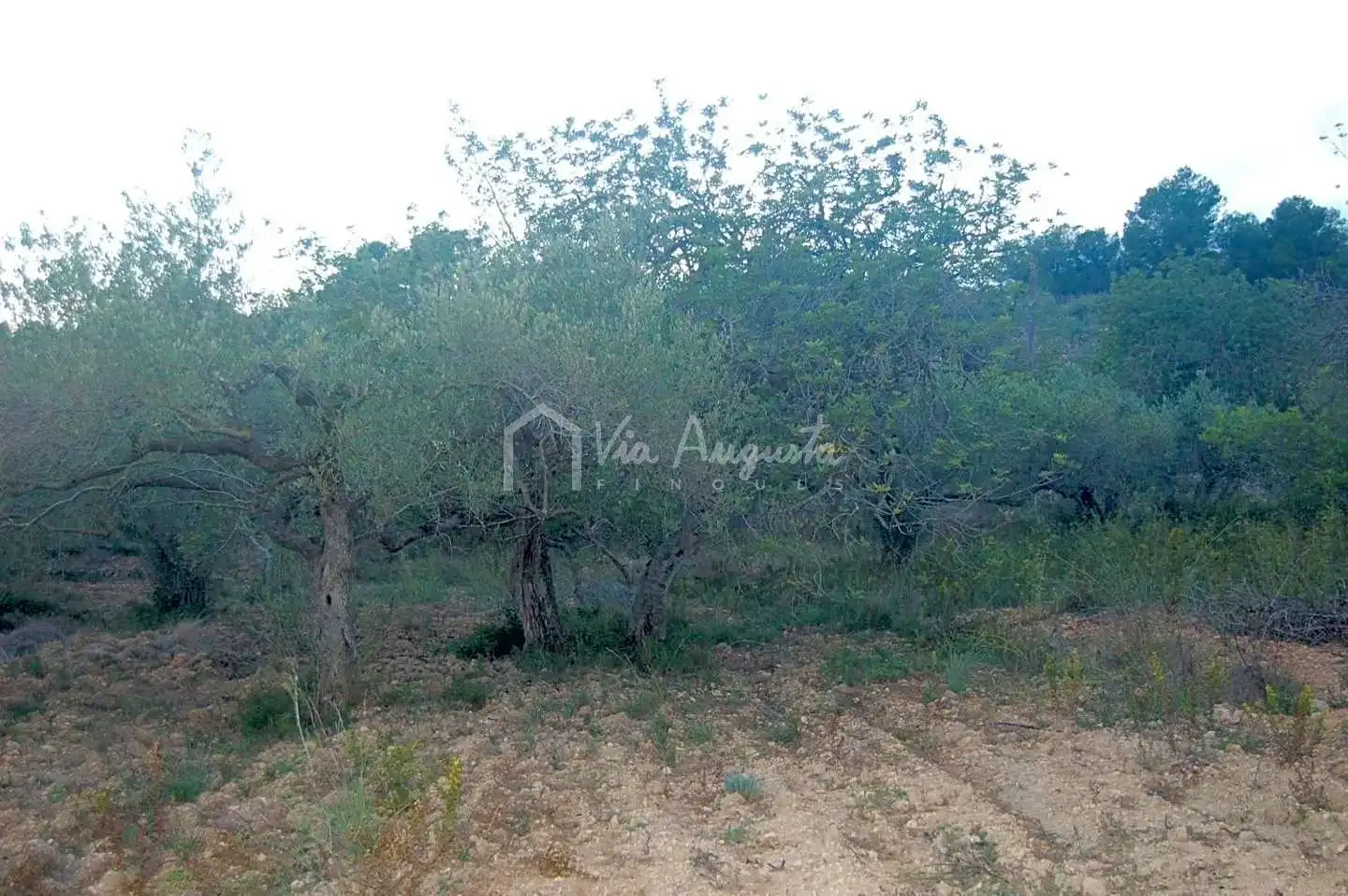 Terreno rustico in vendita a Suis, imagen 19