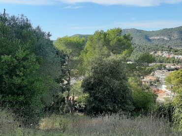 Terreni e lotti in vendita a Canyelles