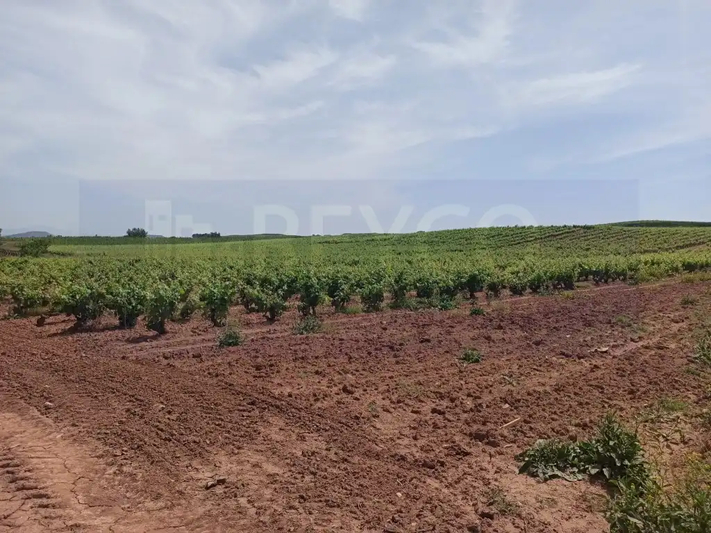 Terreno residenziale in vendita a Alesanco, imagen 2
