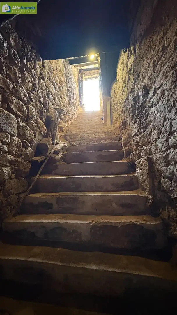 Finca rústica en venta en Peñaranda de Duero con Calefacción, Trastero y Amueblado