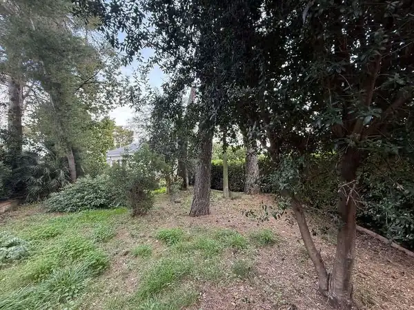 Xalet amb terrassa en venda a Urbanización Bosque U14, imagen 65
