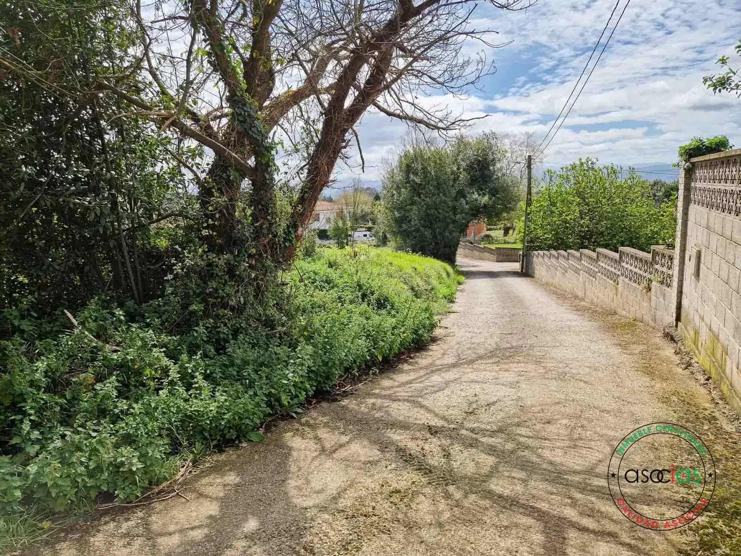 Terreni e lotti in vendita a Barganiza, La - AL BARGANIZA, imagen 10