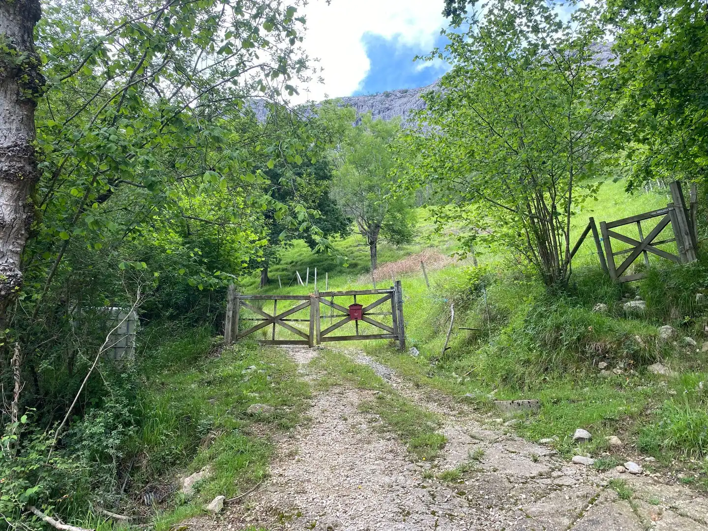 Land for sale in La Molina, Cabrales