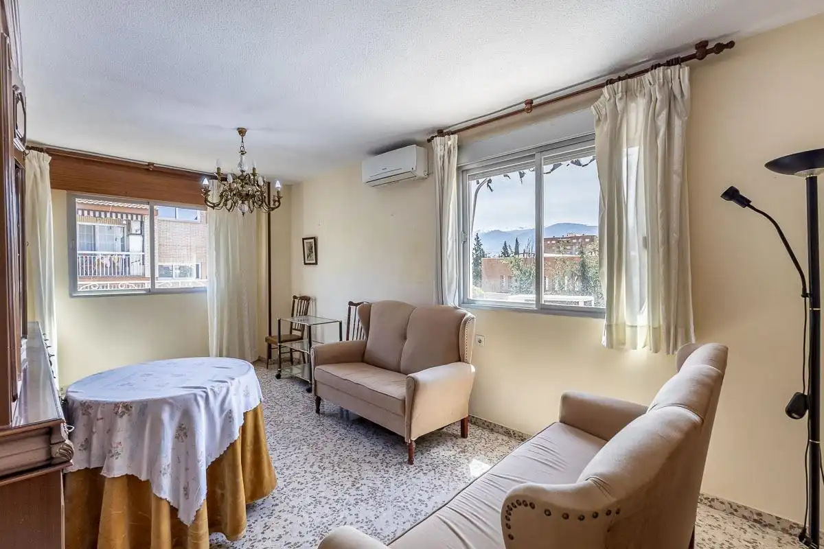 Sala de estar de Piso en venta en Granada con Aire acondicionado y Calefacción