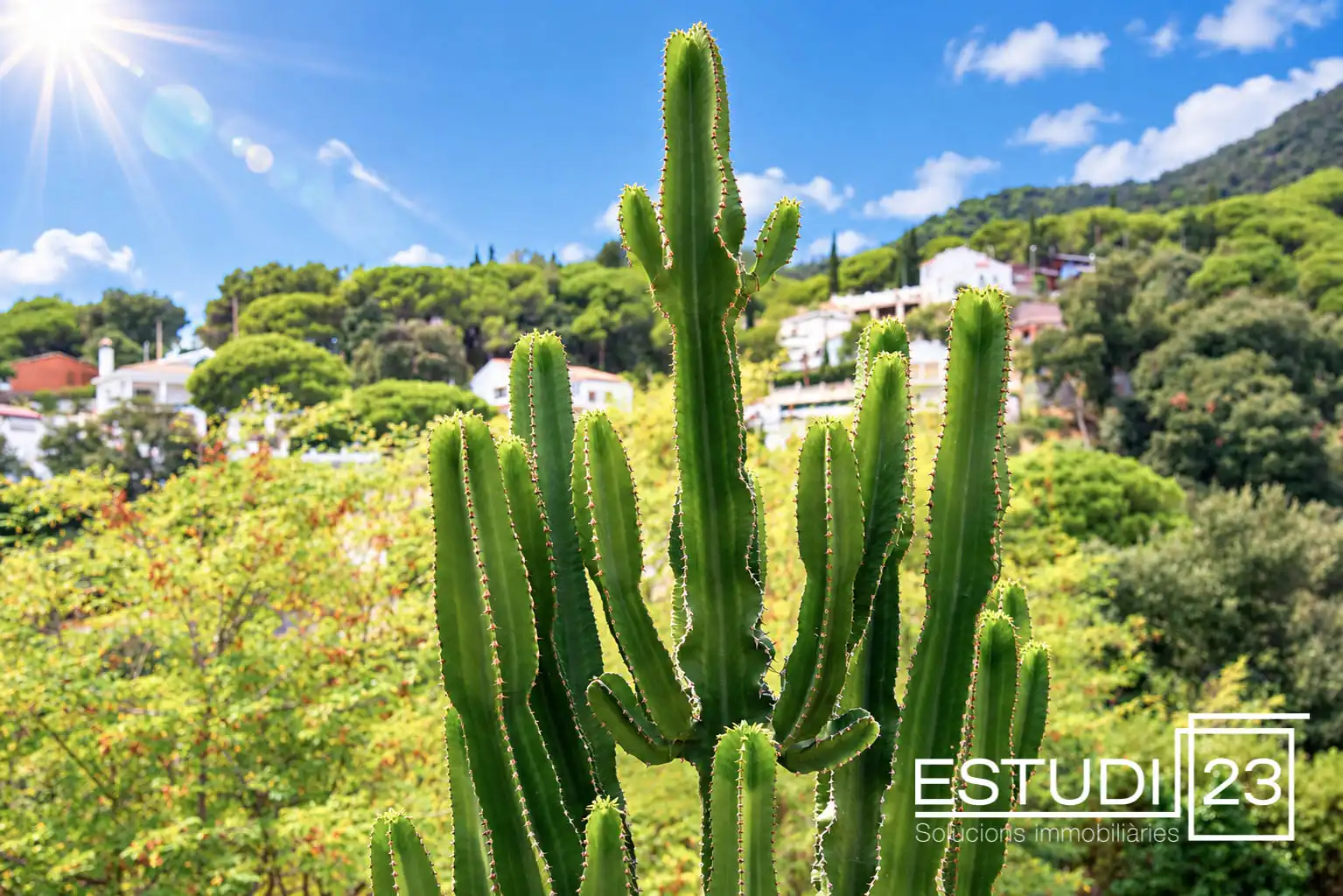 Haus mit Terrasse zum Verkauf in Arenys de Munt, imagen 40