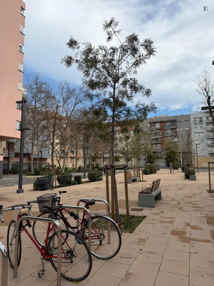 Apartamento de alquiler en La Malva-rosa