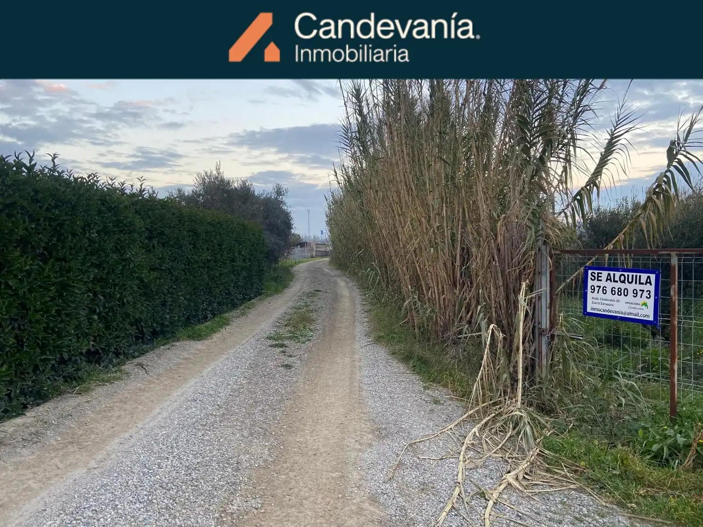 Terreni e lotti in vendita a Zuera