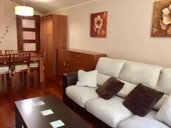 Wohnzimmer von Wohnung zur Miete in Aisa mit Parkett, Abstellraum und Möbliert