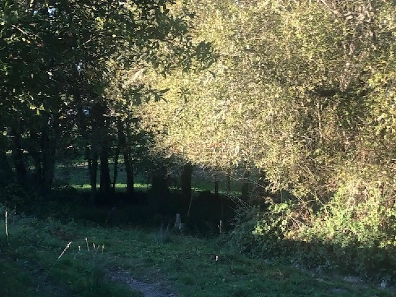 Terreni e lotti in vendita a Nogueira de Ramuín, imagen 13