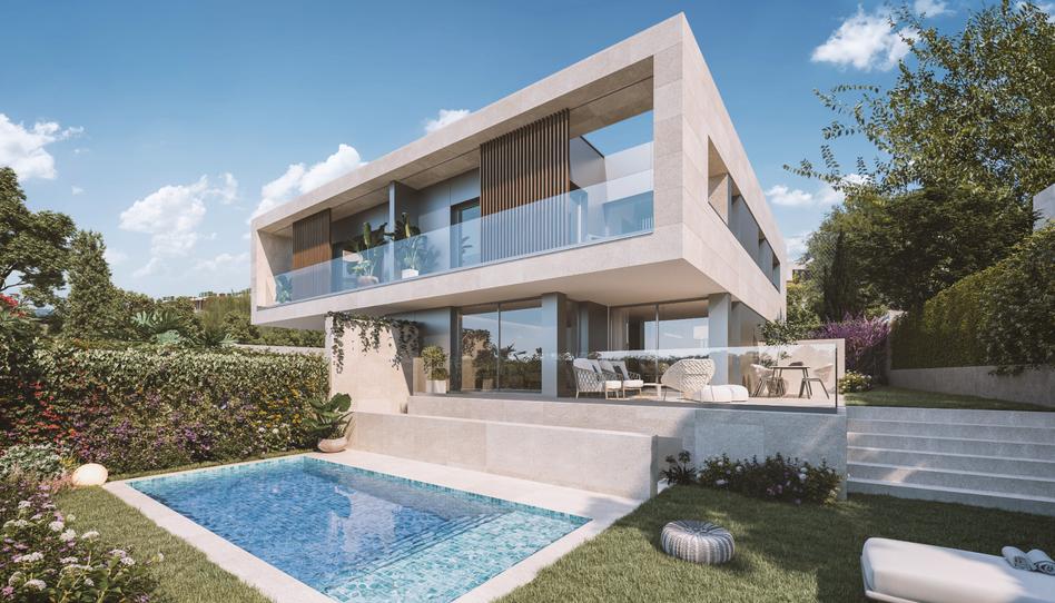 Foto 0 von Aktion The Project