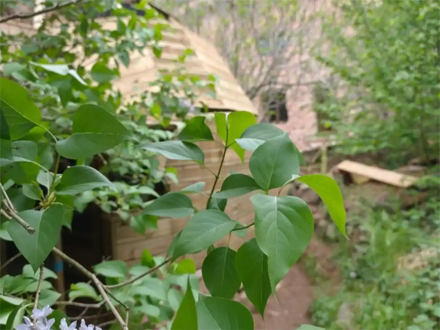 Jardín de Piso en venta en Molló con Jardín privado y Amueblado