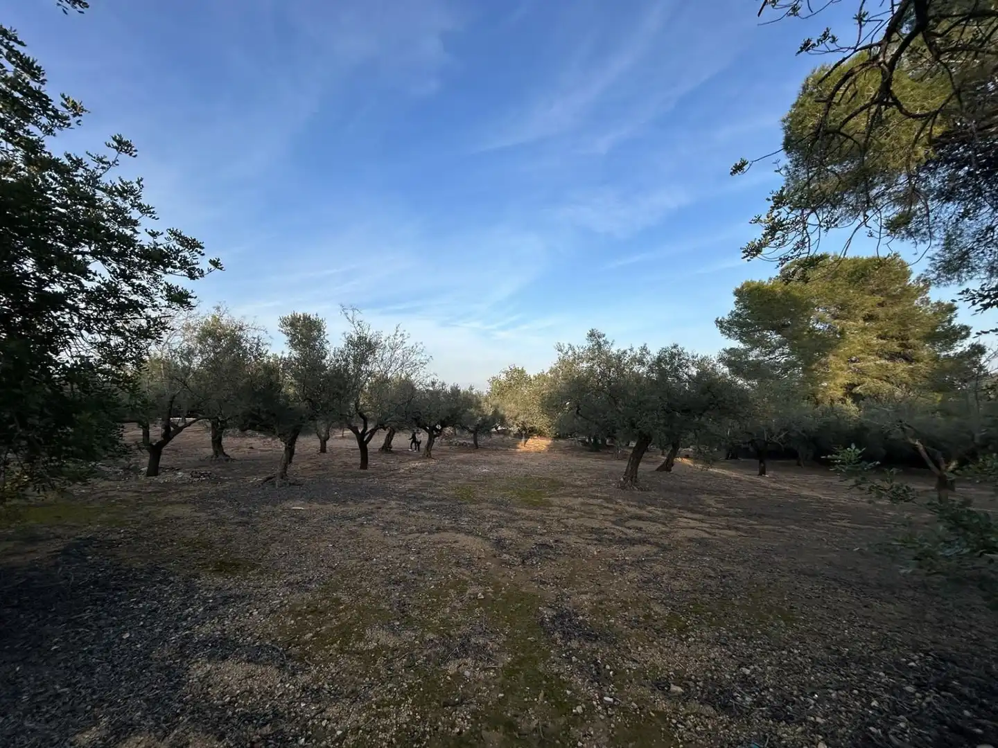 Finca rústica en venda en Masdenverge