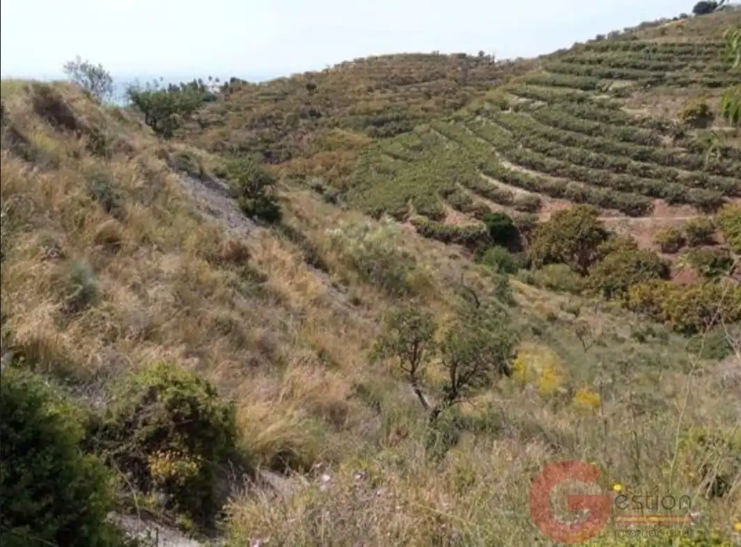 Terrenys i solars en venda a Monte los Almendros - El Pargo - Costa Aguilera, imagen 15