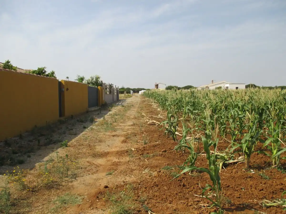 Finca rústica en venta en Conil de la Frontera
