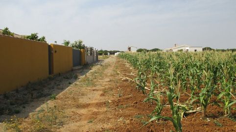 Foto 4 de Finca rústica en venta en Roche, Conil de la Frontera