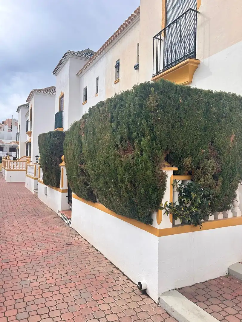 Bungalow en venda a La Mata, imagen 29