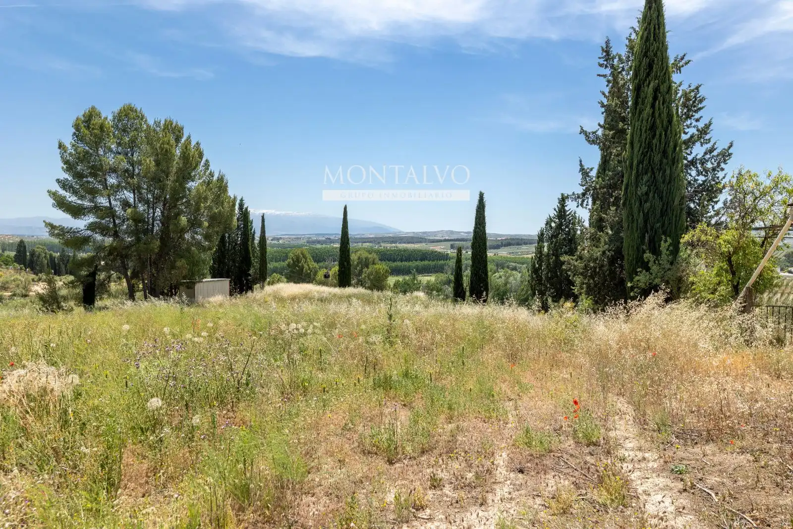 Land for sale in Pinos Puente