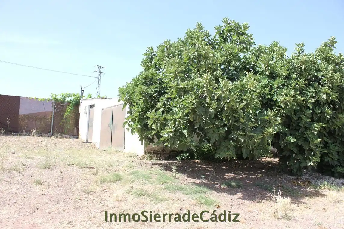 Casa rústica en venda a Algodonales, imagen 4