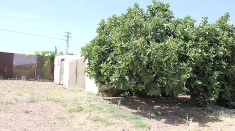 Finca Rúst. en venta en Algodonales., image 3