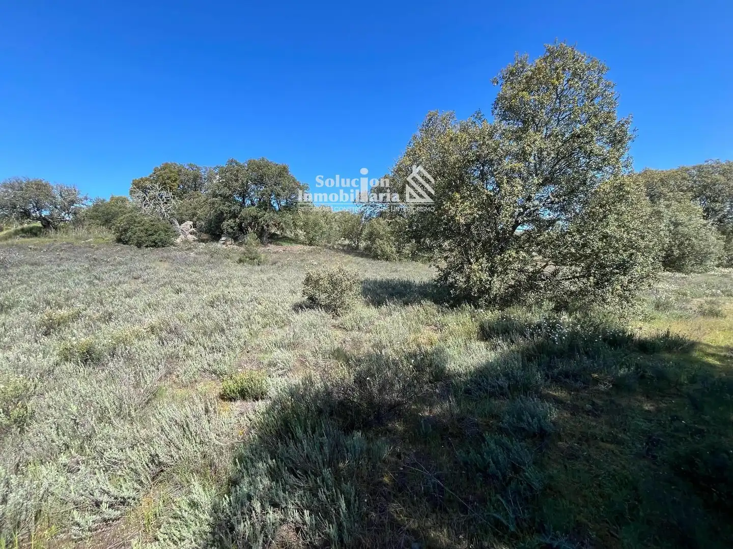 Terreno en venta en Terradillos