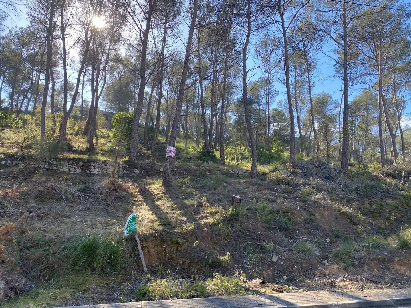 Residencial en venta en Olivella