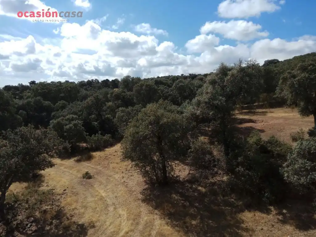 Finca rústica en venta en Villanueva del Duque