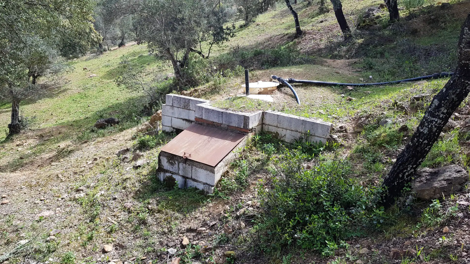 Terrenos y solares en venta en Extramuros Diseminados 5, imagen 70