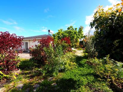 Jardí de Casa o xalet en venda en La Orotava amb Jardí privat i Alarma