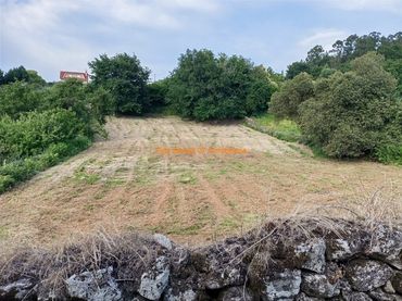 Terrenys i solars en venda a Pazos de Borbén