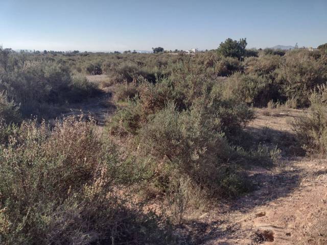 Terreno en Venta en La Algoda - Matola - Llano de San José