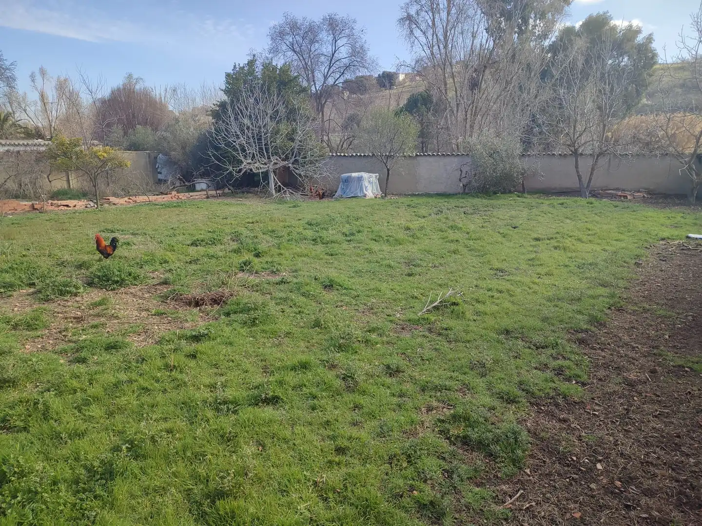 Casa o chalet en venta en Caracuel de Calatrava