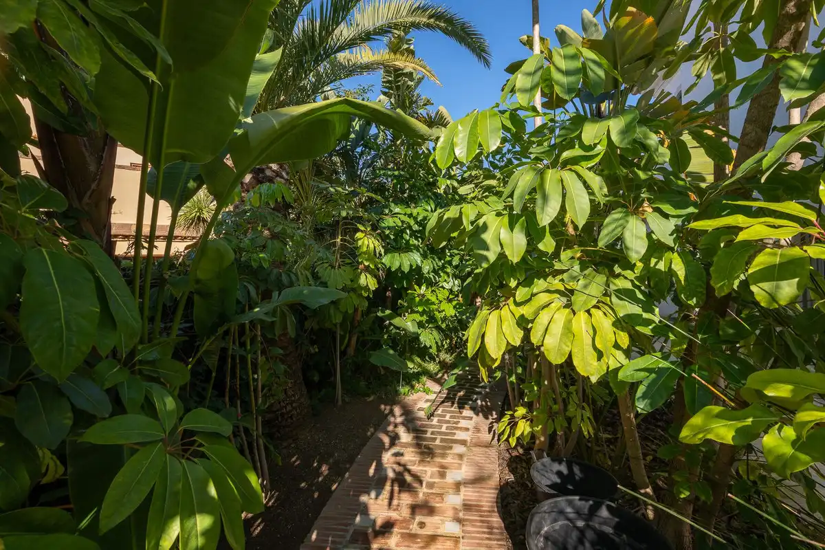 Jardín de Casa o chalet en venta en Marbella con Terraza, Trastero y Piscina