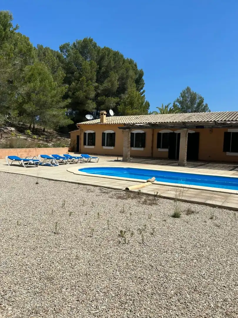 Swimming pool of Houses for sale in Calvià