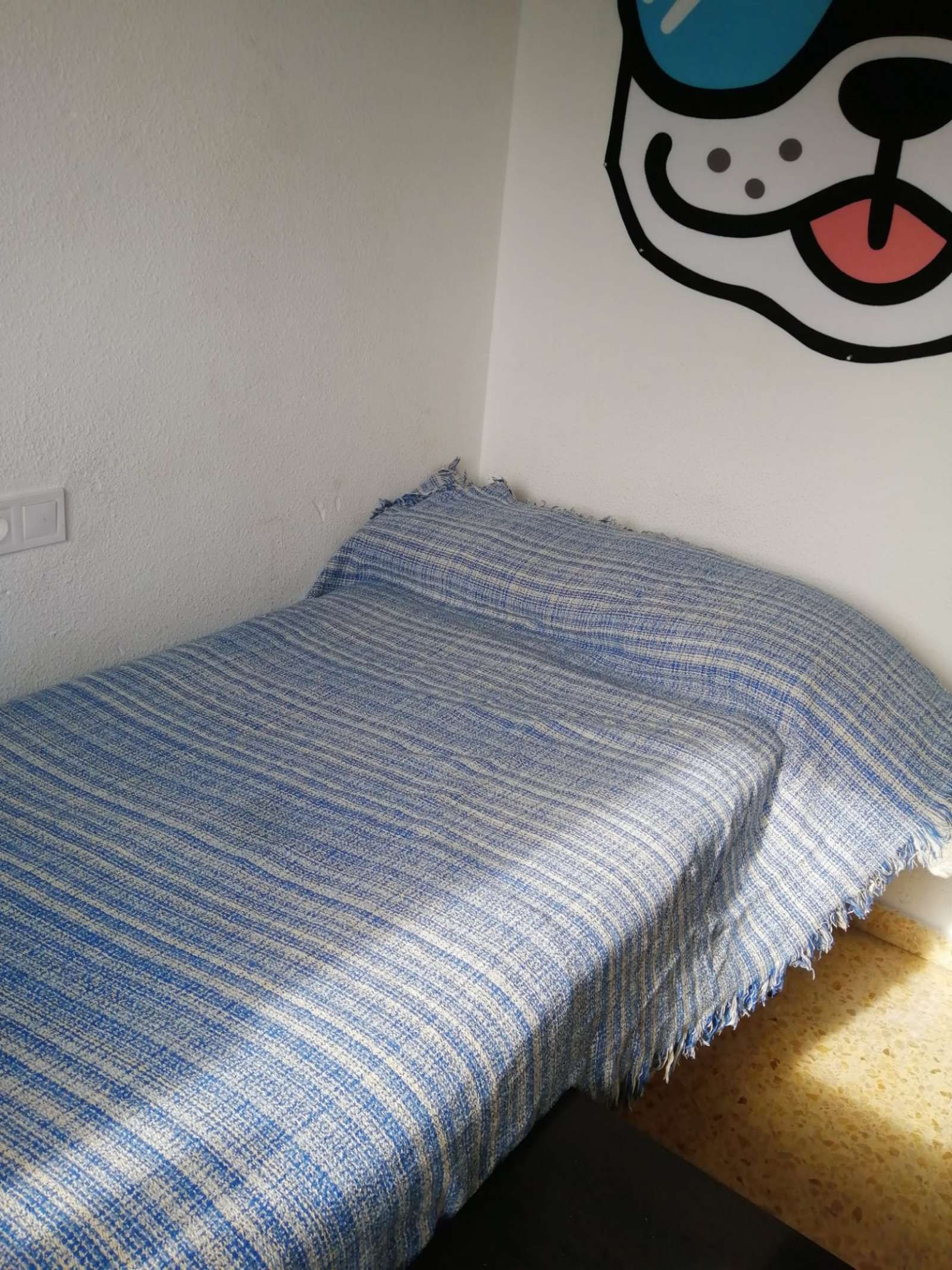 Flat to share in Sotolivar - Mas del Rosari