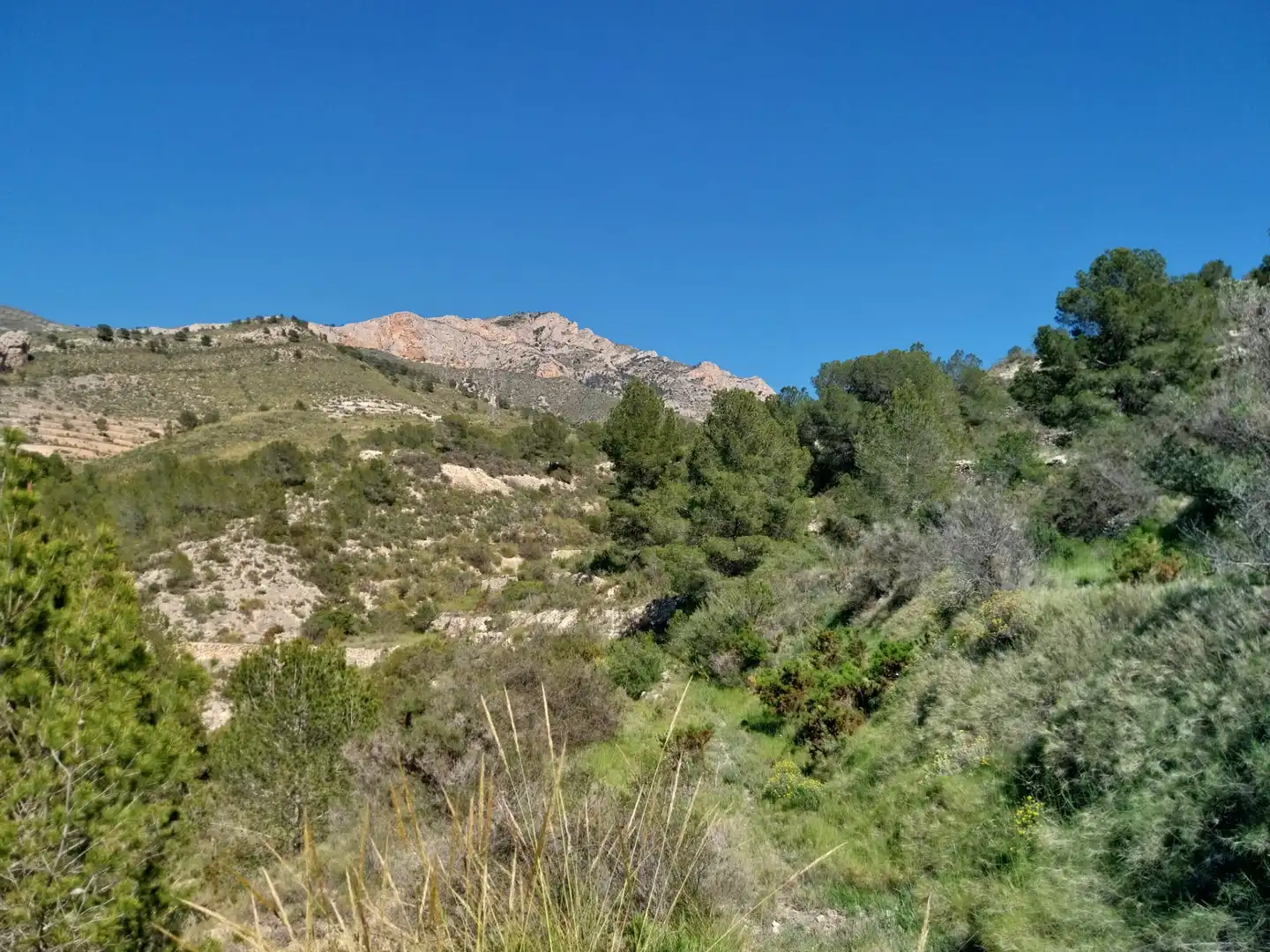 Terreno rustico in vendita a Lugar Castillo, imagen 44