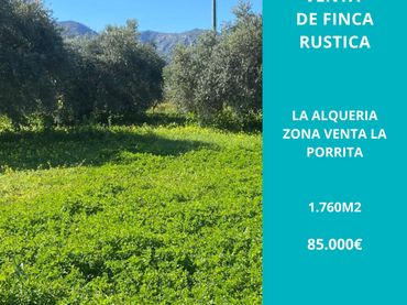 Rural land for sale in Alquería - Torrealquería