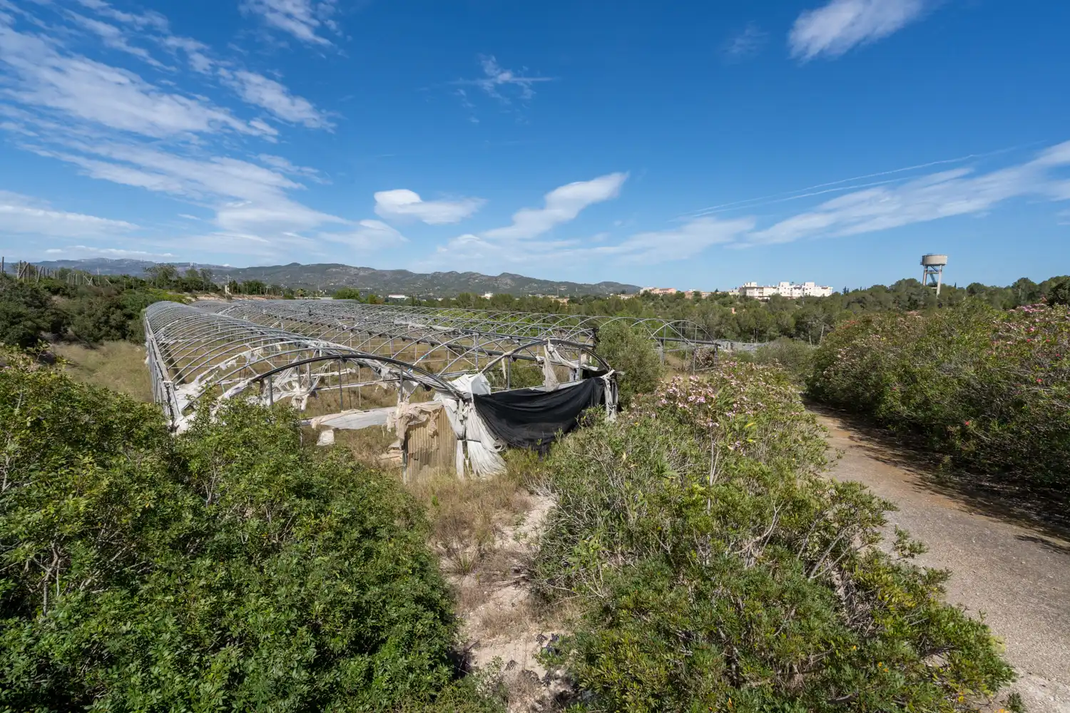 Rural land for sale in Camí del Barranc de Roé 94