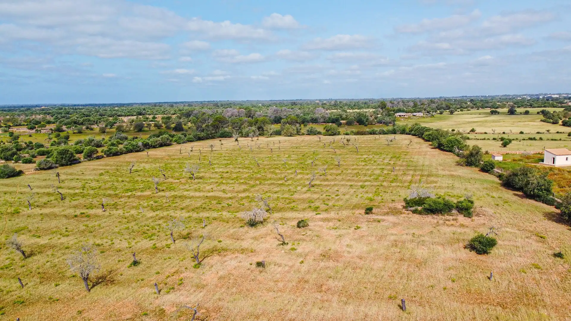 Terreno rustico in vendita a Llucmajor pueblo, imagen 2