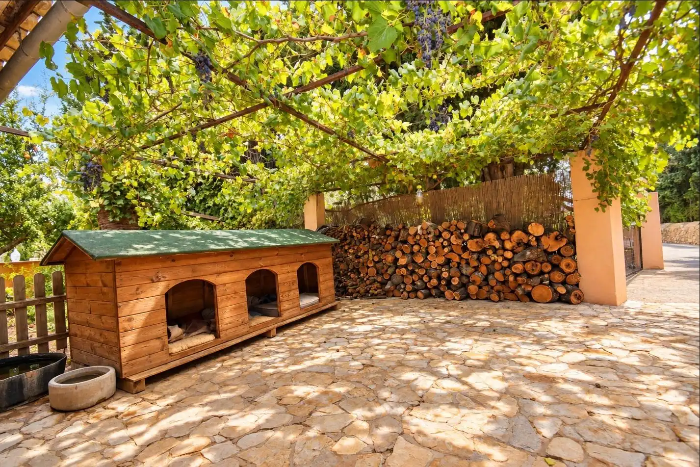 Country house with pool for sale in Centro, imagen 46