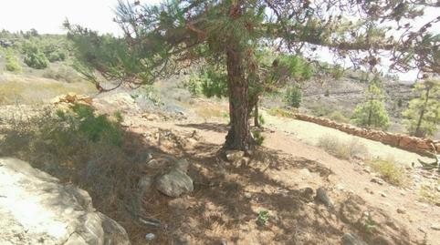 Photo 3 of Residential for sale in Chimiche, Granadilla de Abona